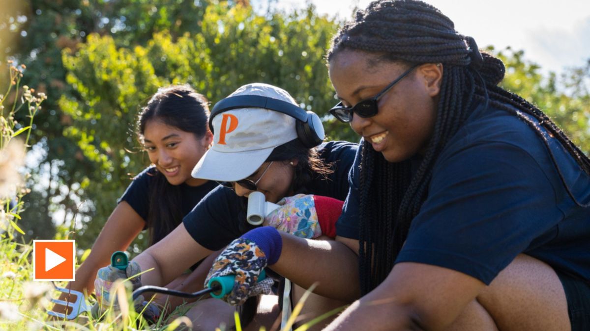 content.field_image.alt